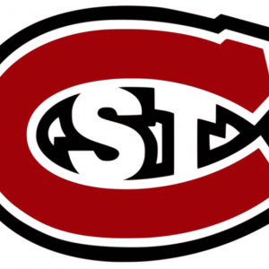 Brian Idalski Logo