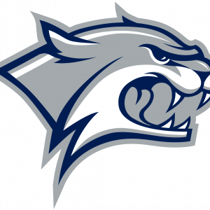 Hilary Witt Logo