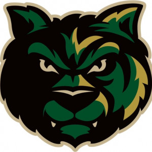 Colton St. Clair HC Logo