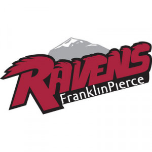 David Stockdale Logo